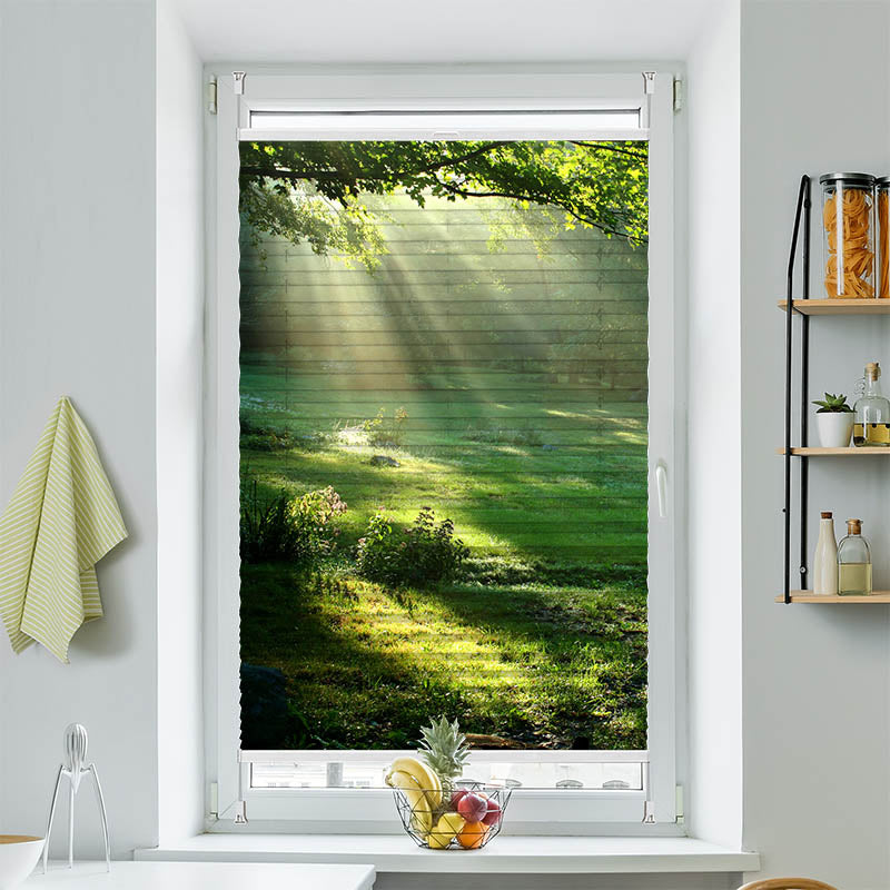 Plissee Motiv Lichtung im Wald