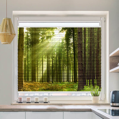 Plissee Motiv Sonnenstrahlen im Wald Panorama