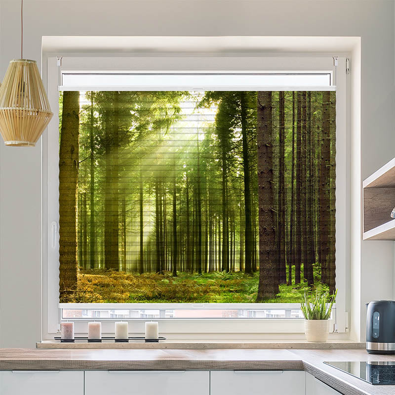 Plissee Motiv "Sonnenstrahlen im Wald Panorama"