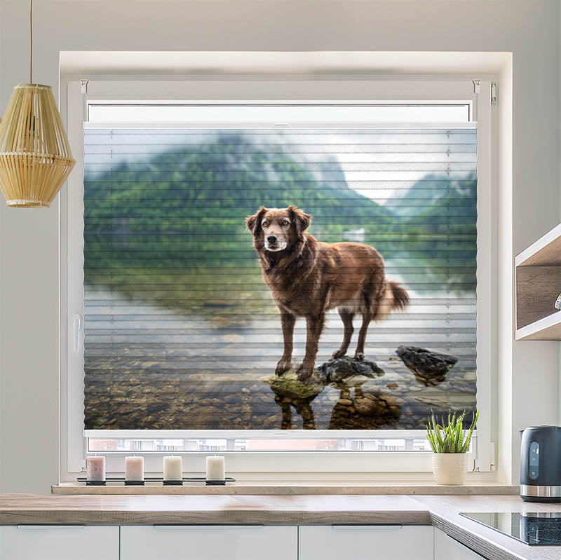 Plissee Motiv Hund am Bergsee