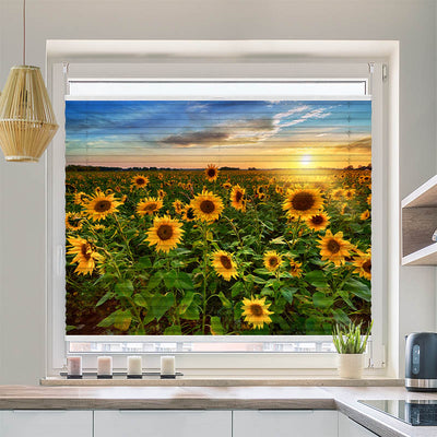 Plissee Motiv Sonnenblumenfeld Sonnenaufgang