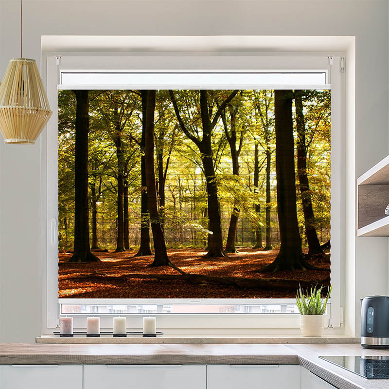 Plissee Motiv Wald Sonnenstrahlen