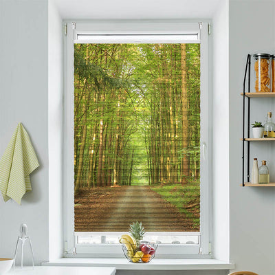 Plissee Motiv Bambuswald Weg