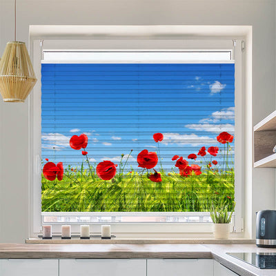 Plissee Motiv Mohnblumen Wiese