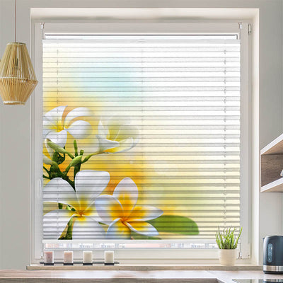 Plissee Motiv Frangipani