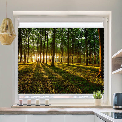 Plissee Motiv Sonnenstrahlen im Wald