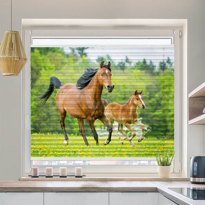 Plissee Motiv Pferd mit Fohlen