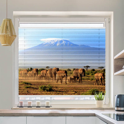 Plissee Motiv Elefanten am Kilimandscharo