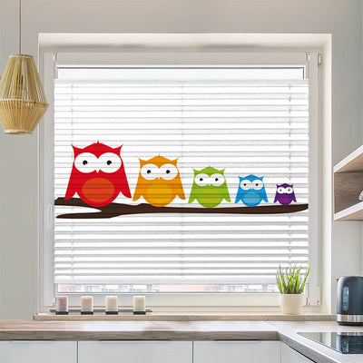 Plissee Motiv Bunte Eulen