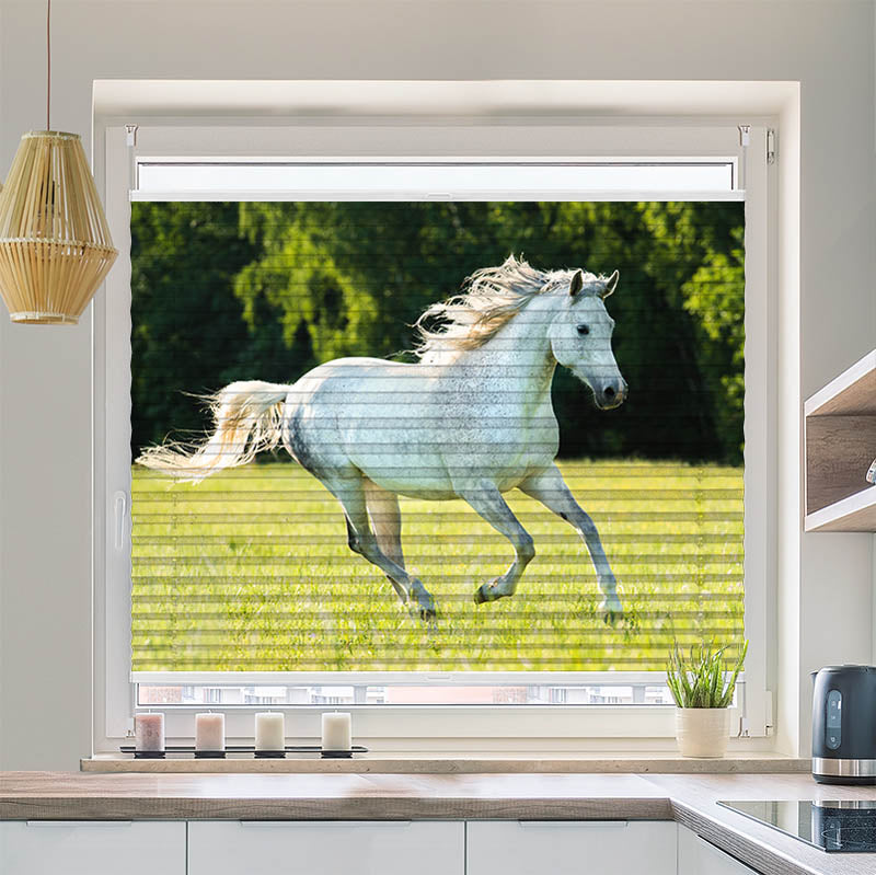 Plissee Motiv "Weisses Pferd im Gras"