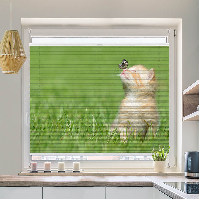 Plissee Motiv Kitten und Schmetterling