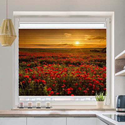 Plissee Motiv Mohnblumen Sonnenuntergang