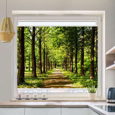 Plisse Motiv Sonnendurchfluteter Laubwald
