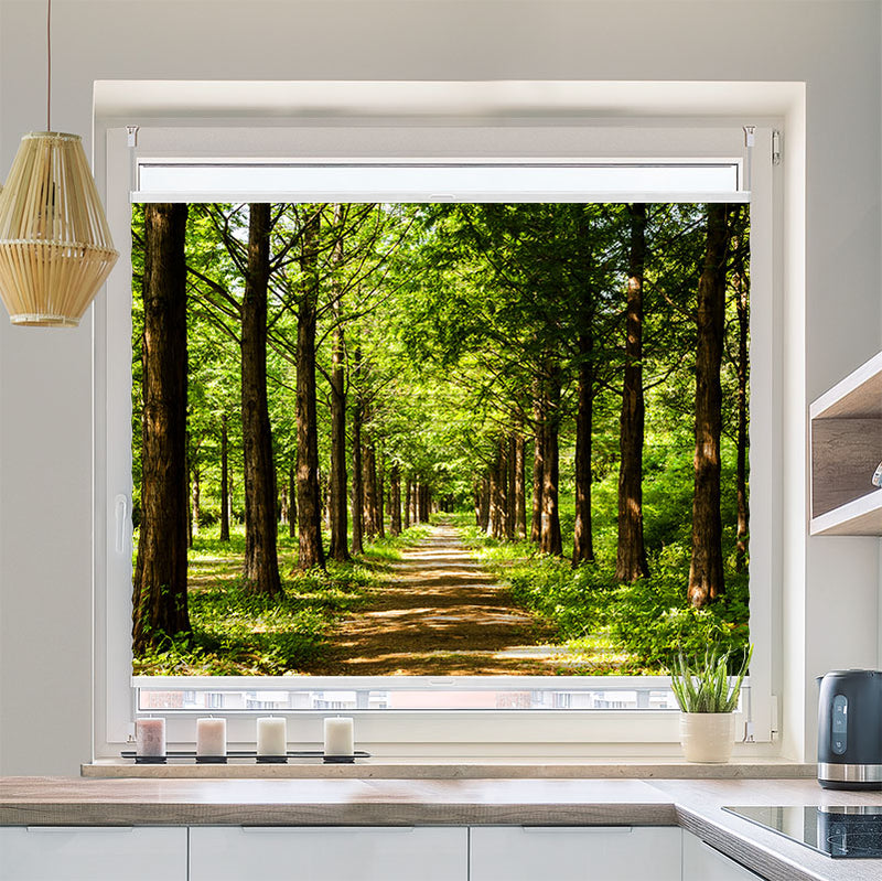 Plisse Motiv Sonnendurchfluteter Laubwald