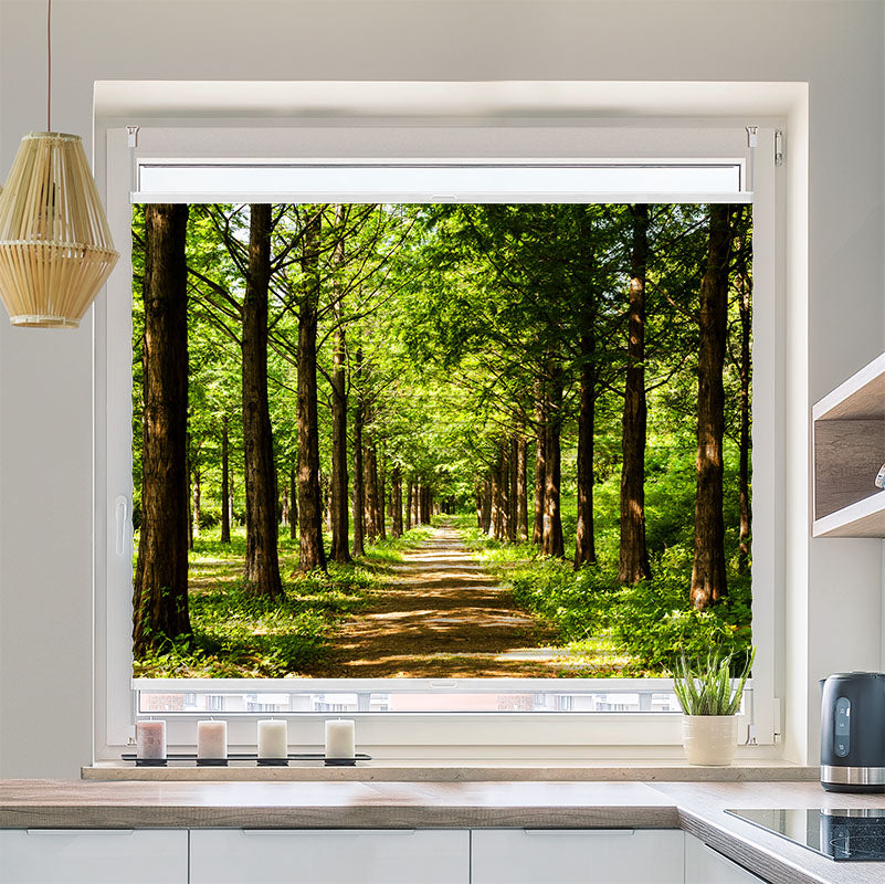 Plisse Motiv Sonnendurchfluteter Laubwald