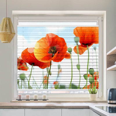 Plissee Motiv Mohnblumen Panorama