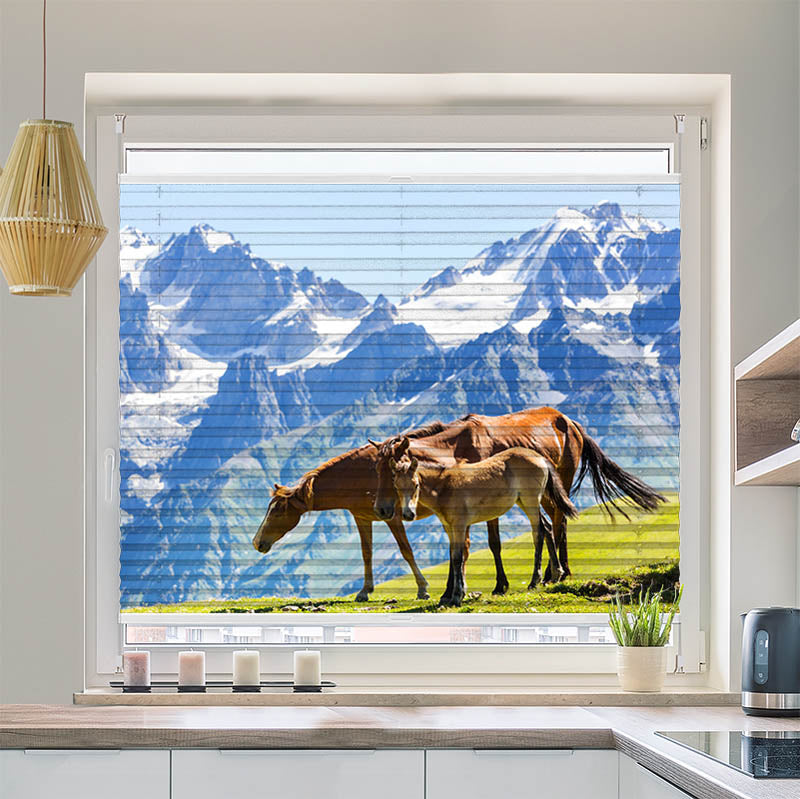 Plissee Motiv "Pferde auf der Alm"