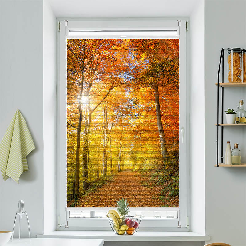Plissee Motiv Waldweg Herbst