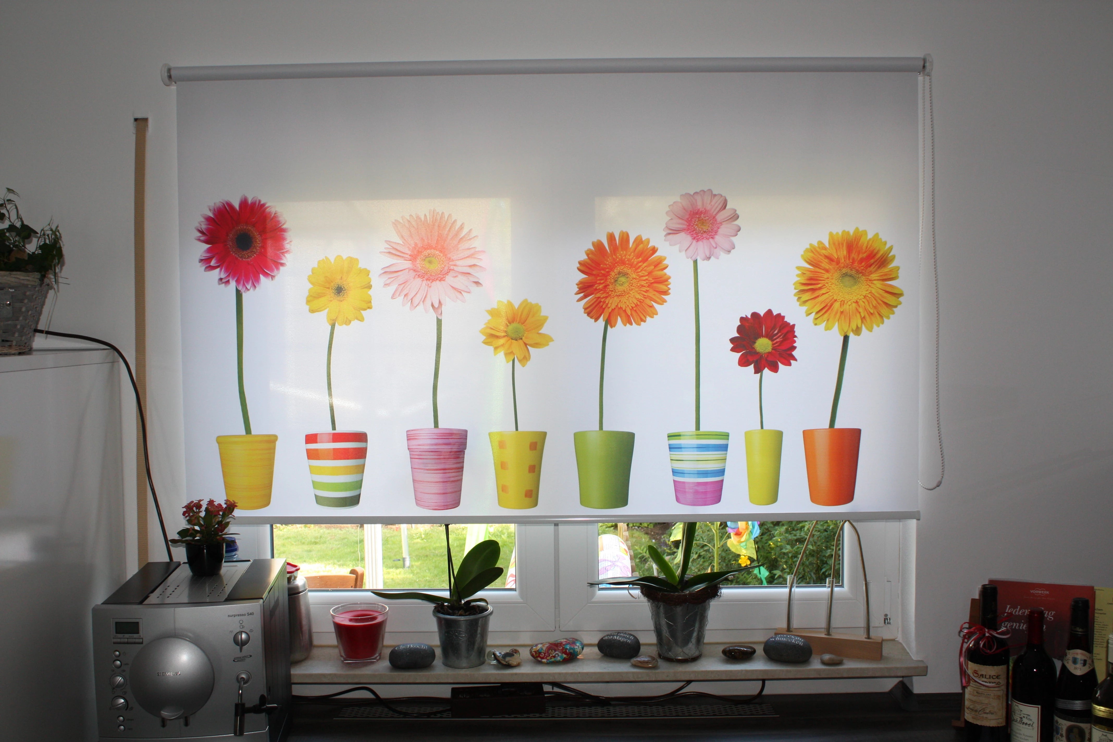 mit bunten Blumen Gerbera in Blumentöpfen bedrucktes Fotorollo am Küchenfenster