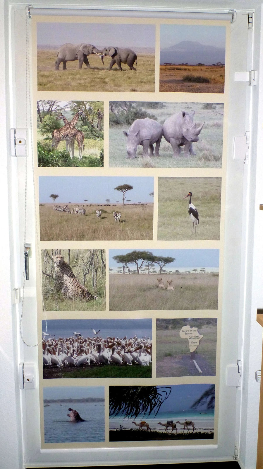 Collage aus Fotos aus dem Urlaub in Afrika mit afrikanischen Tieren auf einem Rollo gedruckt