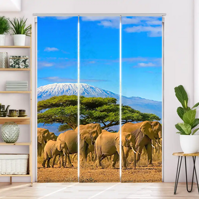 Schiebegardine Motiv Elefanten am Kilimandscharo