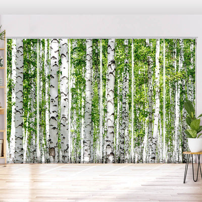 Schiebegardine Motiv Birkenwald