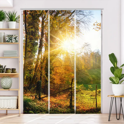 Schiebegardine Motiv Herbstlandschlaft