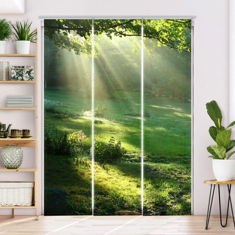 Schiebegardine Motiv Lichtung im Wald