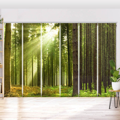 Schiebegardine Motiv Sonnenstrahlen im Wald Panorama