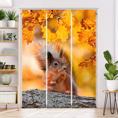 Schiebegardine Motiv Eichhoernchen Herbst