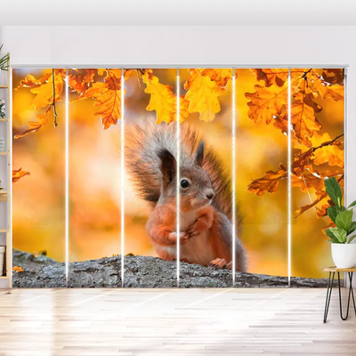 Schiebegardine Motiv Eichhoernchen Herbst