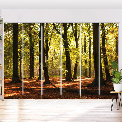 Schiebegardine Motiv Wald Sonnenstrahlen
