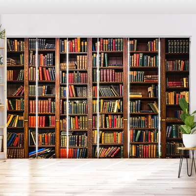 Schiebegardine Motiv Altes Bücherregal