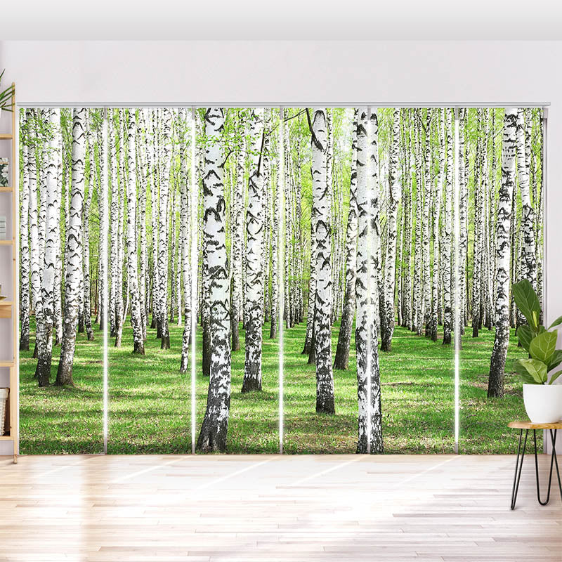Schiebegardine Motiv Birkenwald