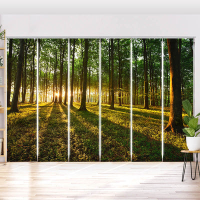 Schiebegardine Motiv Sonnenstrahlen im Wald