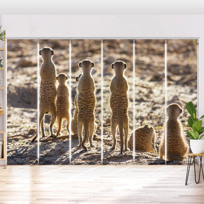 Schiebegardine Motiv Erdmaennchen