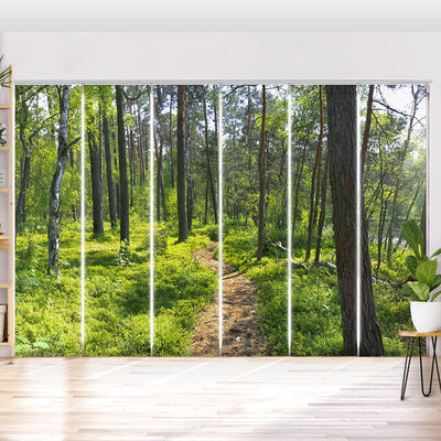 Schiebegardine Motiv Wald Sonnenstrahlen Panorama