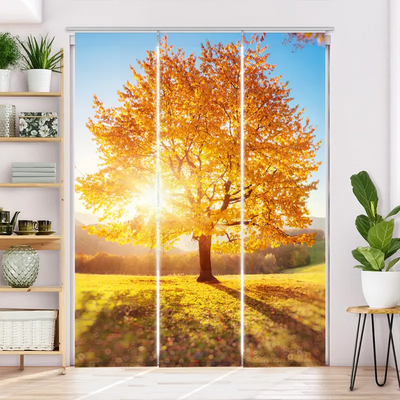 Schiebegardine Motiv  Herbstbaeume
