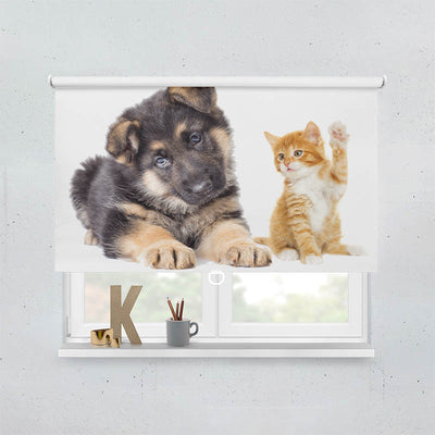 Plissee Motiv Welpe und Kitten