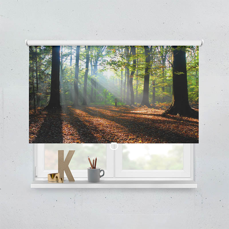 Plissee Motiv Wald Laub Sonne