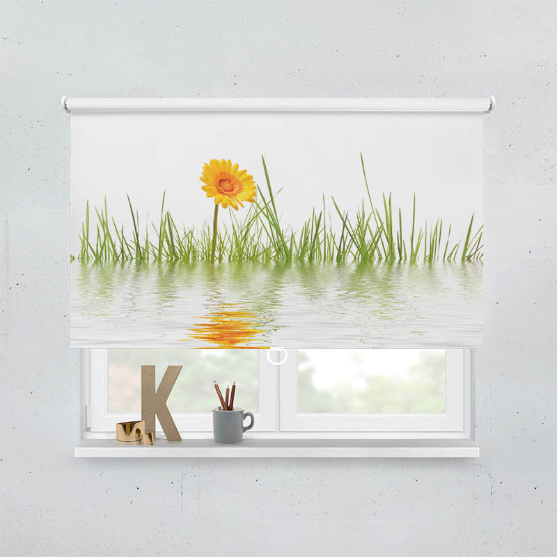 Plissee Motiv Gras im Wasser