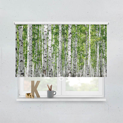 Plissee Motiv Birkenwald