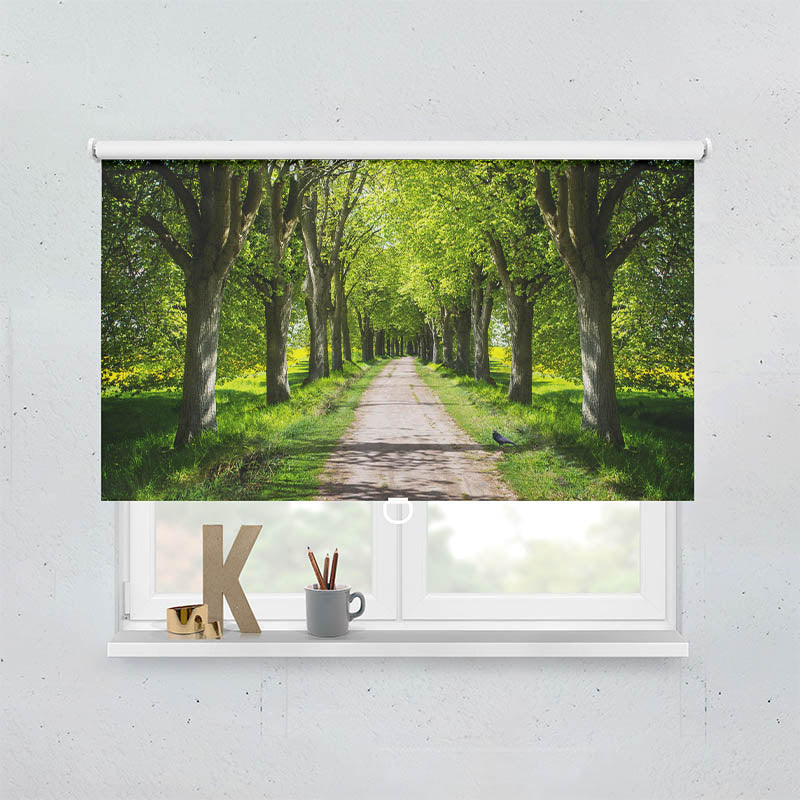 Plissee Motiv Schoene Allee