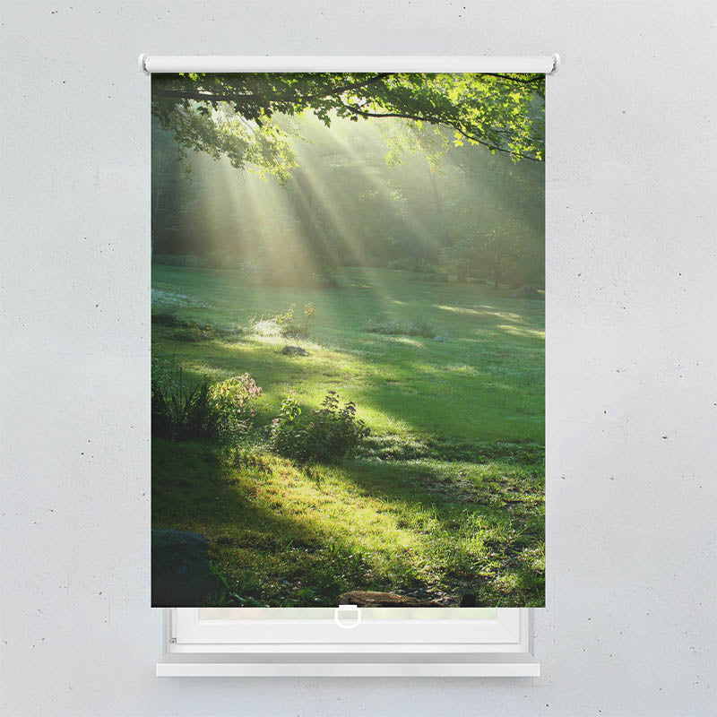 Plissee Motiv Lichtung im Wald