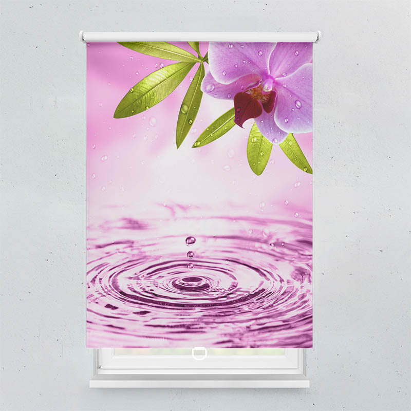 Plissee Motiv Pinke Orchidee mit Wassertropfen