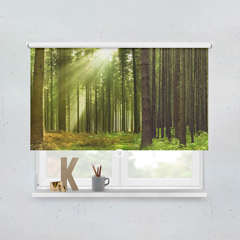 Plissee Motiv Sonnenstrahlen im Wald Panorama