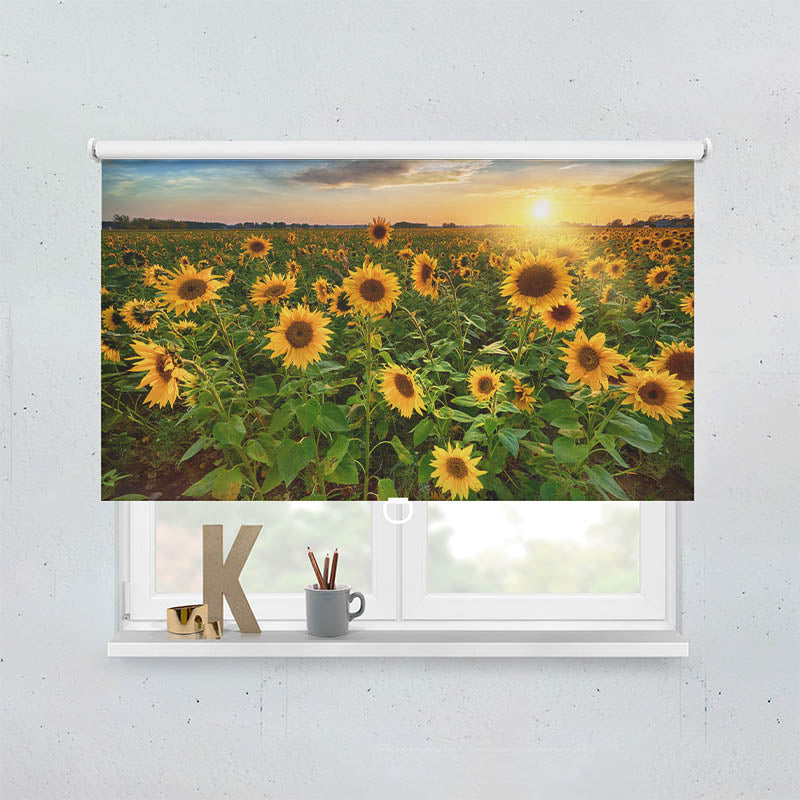 Plissee Motiv Sonnenblumenfeld Sonnenaufgang