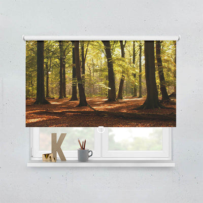 Plissee Motiv Wald Sonnenstrahlen