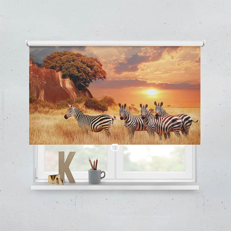 Plissee Motiv Zebras in Afrikas Savanne