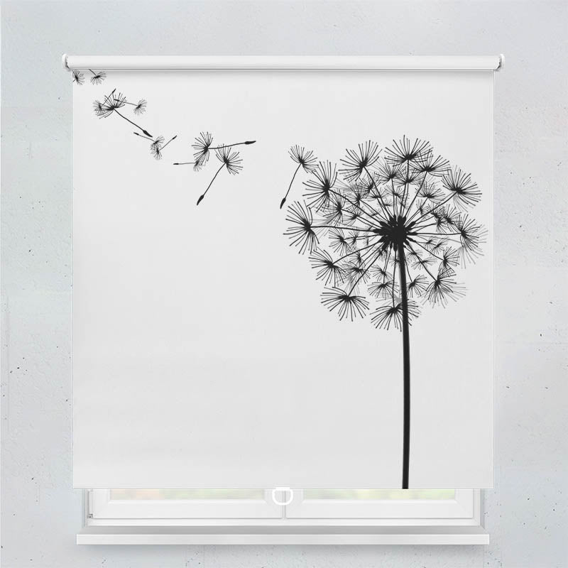 Plissee Motiv Pusteblume Grafik